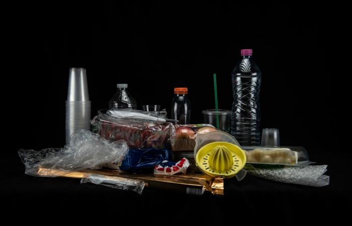 ما هي الأطعمة التي تحتوي على كميات كبيرة من المواد البلاستيكية؟