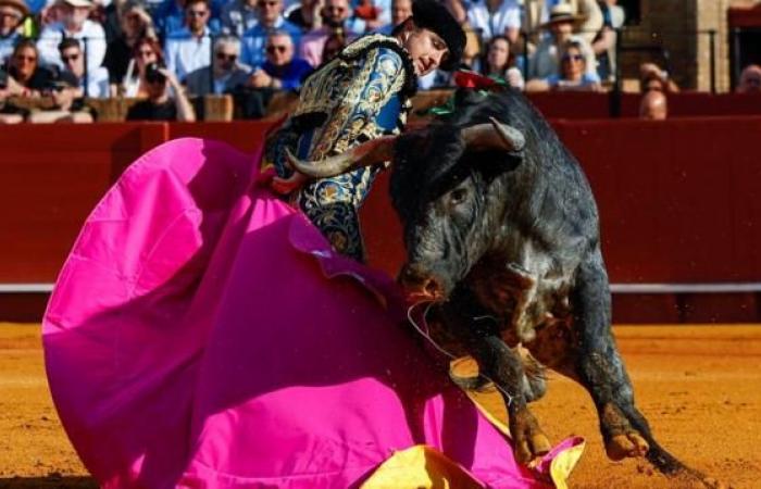 مصارعة الثيران: إسبانيا تطوي صفحة تقليد عمره مئات السنين