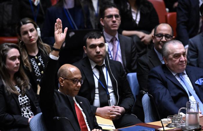 الجمعية العامة تعتمد قرارا يوصي مجلس الأمن بإعادة النظر بعضوية فلسطين