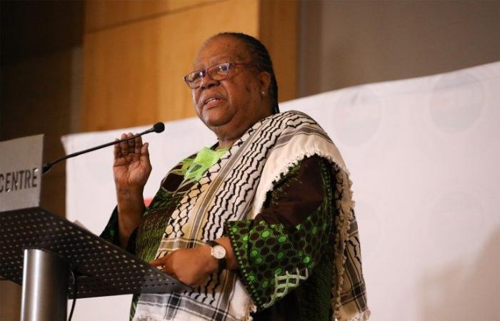 مؤتمر الفصل العنصري في جنوب أفريقيا يدعو لمحاكمة إسرائيل