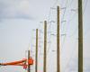 Shortage of wooden hydro poles threatens reliability of grid, say electricity producers