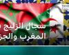 الجزائر والمغرب.. تصريحات حول الزليج تعيد "المعركة" حول التراث إلى الواجهة