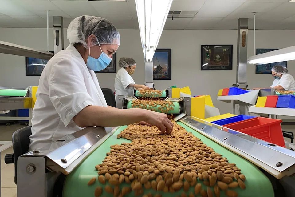 Employees inspect almonds in the processing facility at Steward & Jasper Orchards in Newman, Calif. on July 20, 2021.