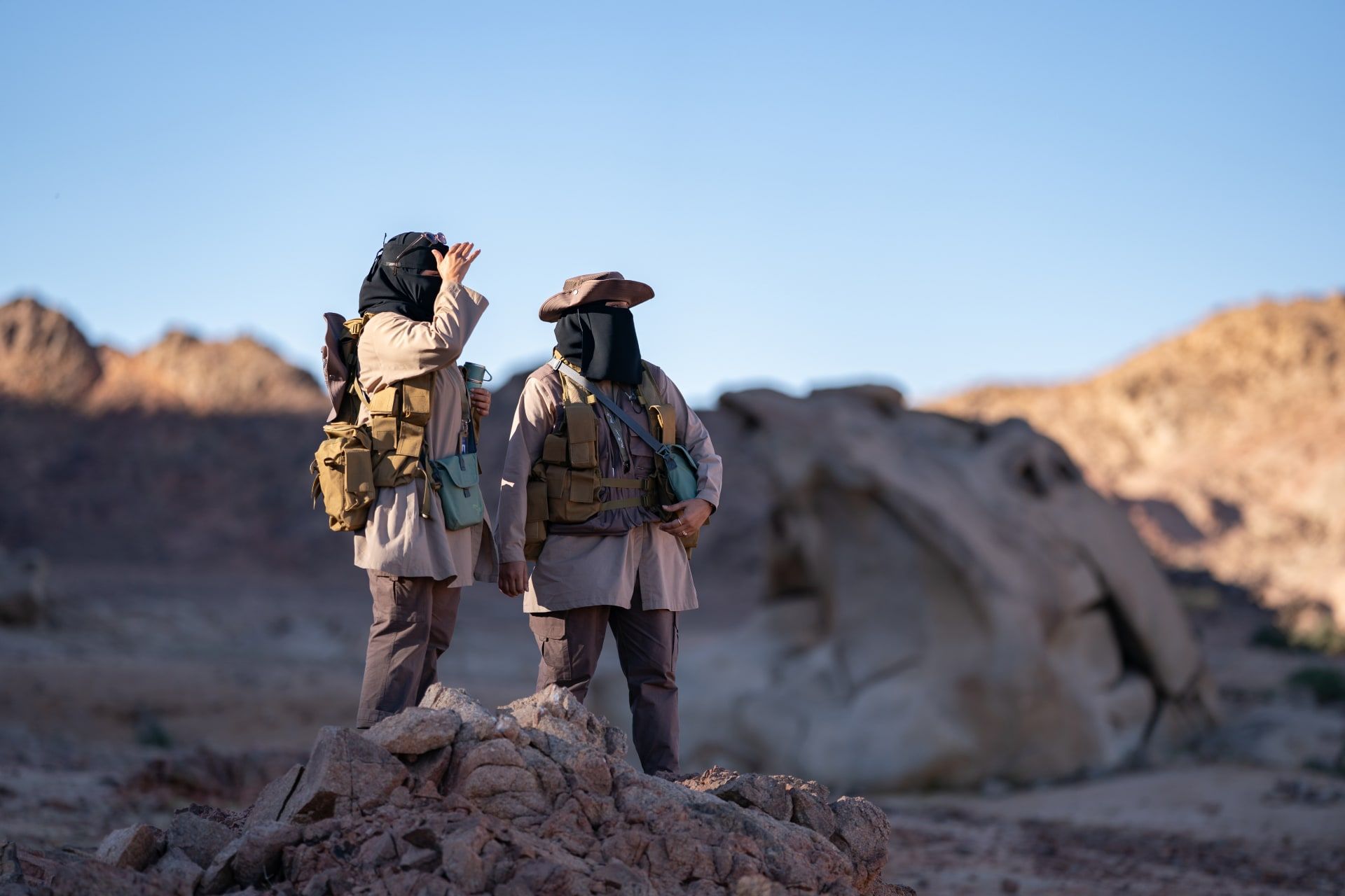 كيف عاد الحمار البري إلى السعودية بعد غياب استمر لأكثر من قرن؟