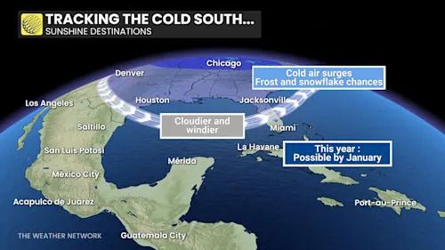 Tracking The Cold South Winter Destinations 2025-2026