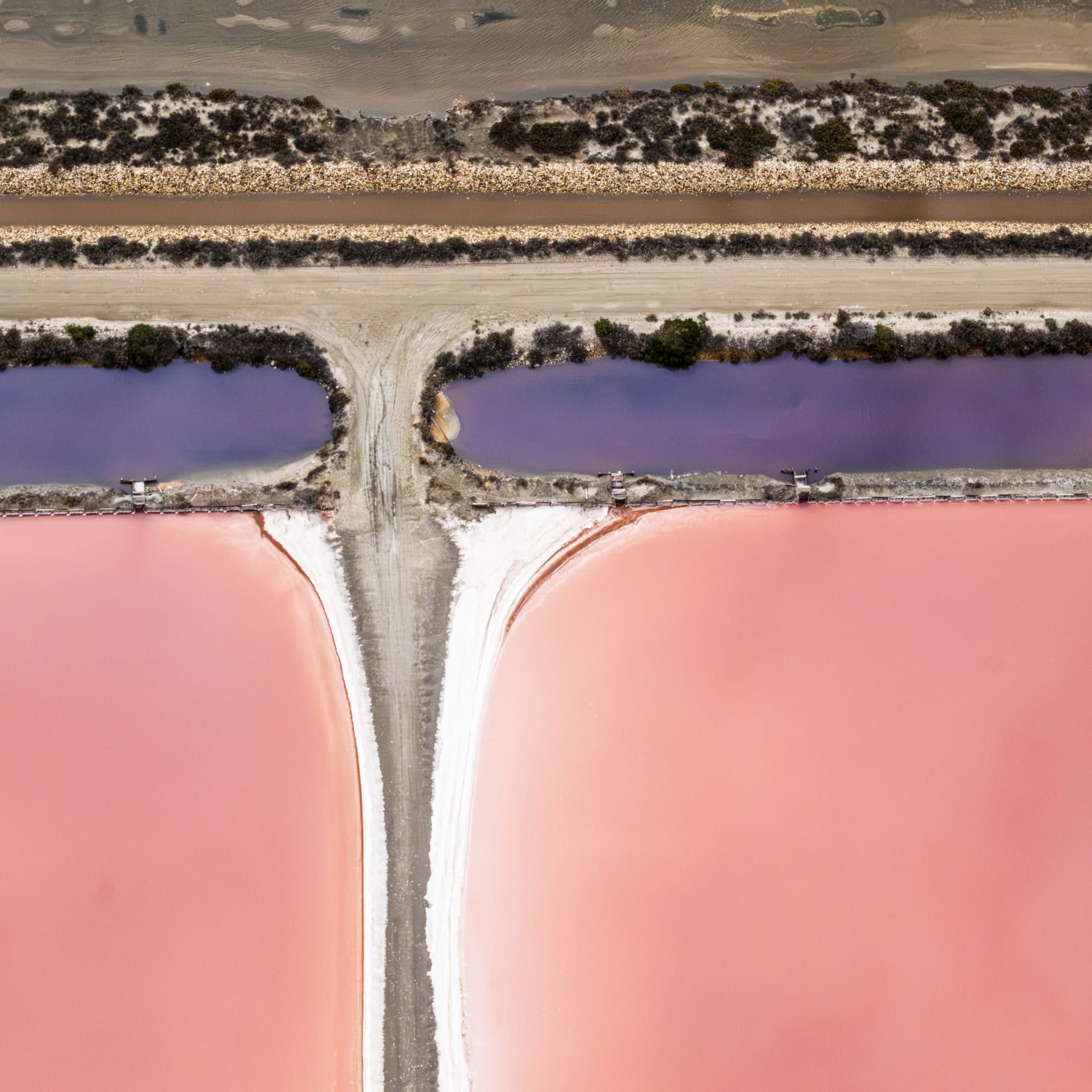 مصور يوثق مشاهد حالمة لبحيرات وردية اللون