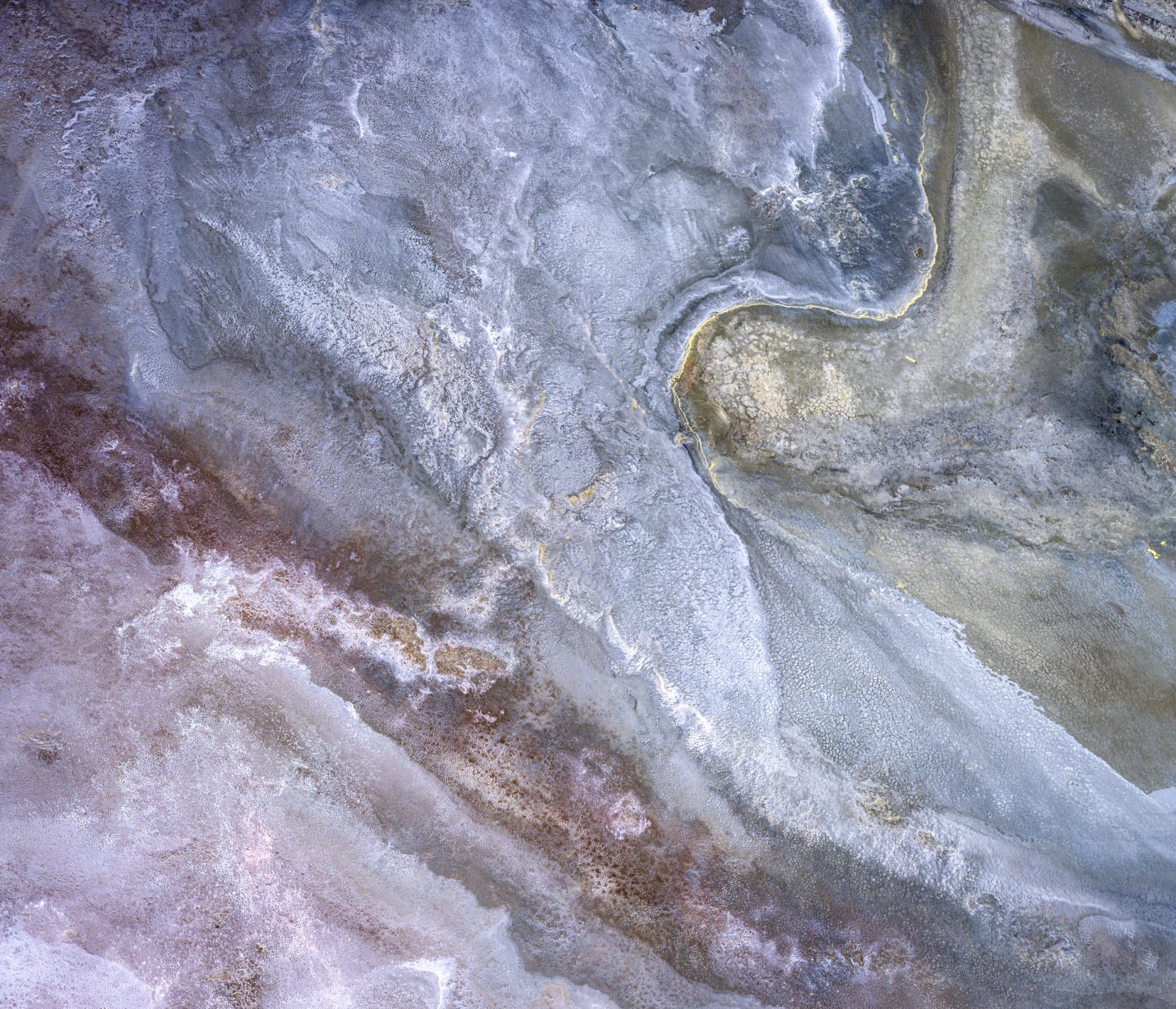 مصور يوثق مشاهد حالمة لبحيرات وردية اللون