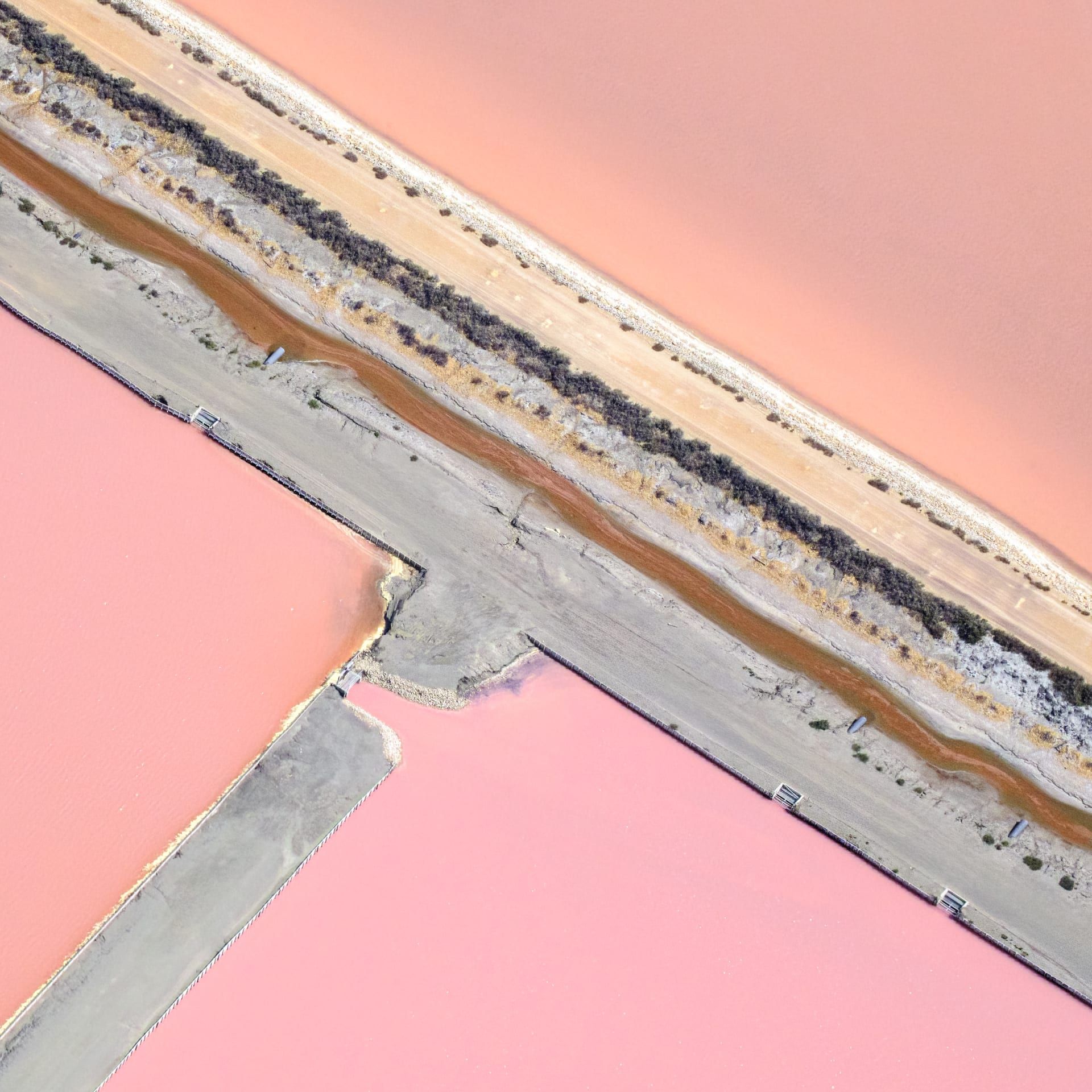 مصور يوثق مشاهد حالمة لبحيرات وردية اللون