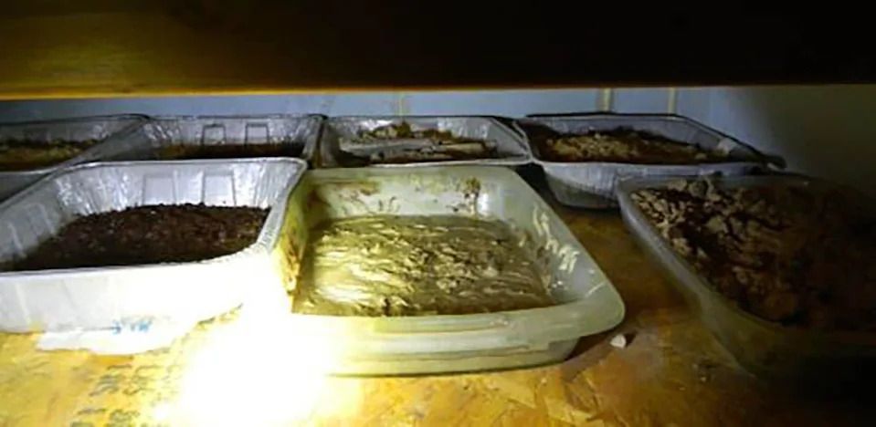 A federal RCMP policing unit known as CLEAR — clandestine laboratory enforcement and response team — has seized fentanyl, guns, precursor chemicals and cash from properties in Surrey and Richmond in an investigation that began in the summer.