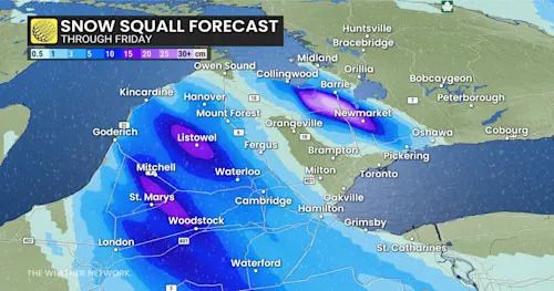 Baron - Ontario snow squall forecast through Friday - Dec 11