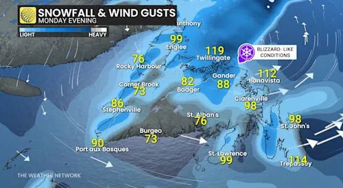 Newfoundland snow and winds Monday evening