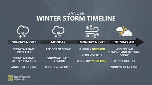 Gander winter storm timeline