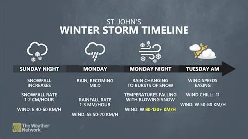 St. John's, N.L., winter storm timeline Dec. 14-16