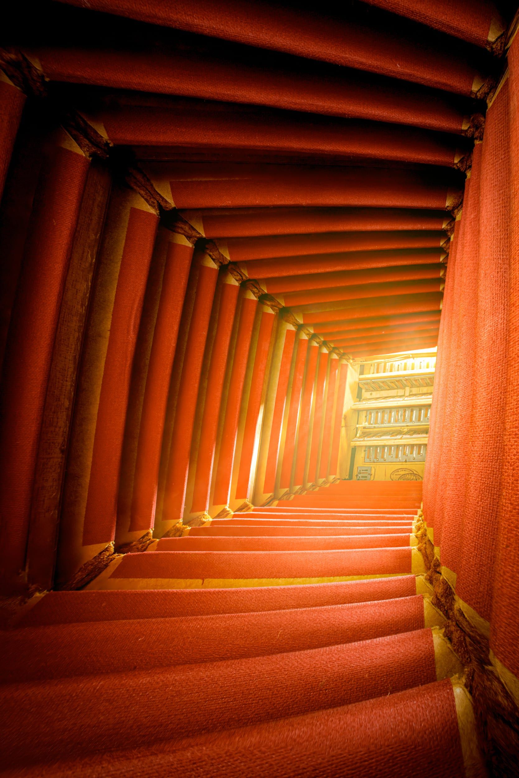 صور مذهلة تكشف عن العوالم الخفية داخل الآلات الموسيقية