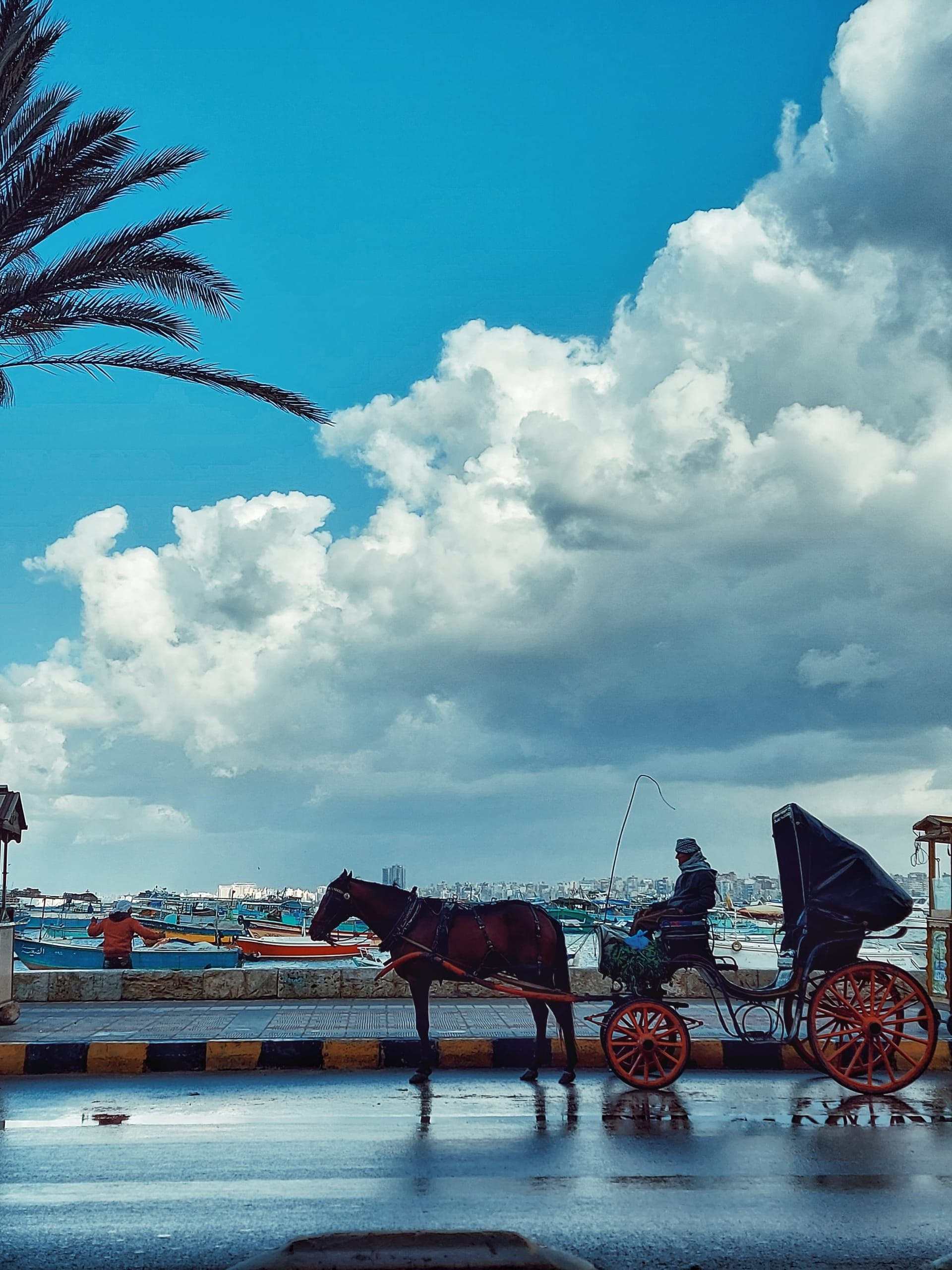 الإسكندرية