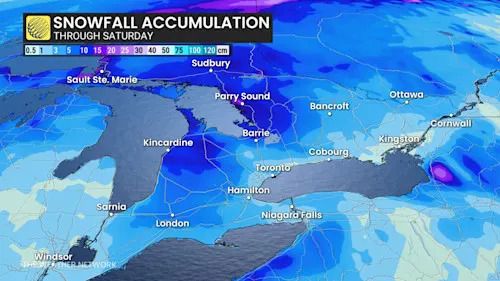 Baron - Ontario snow Saturday - Dec 19
