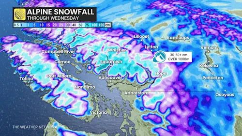 Baron - BC alpine snow - Dec22