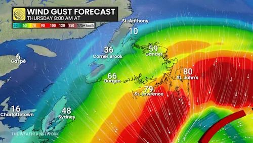 Newfoundland wind gusts Thursday morning
