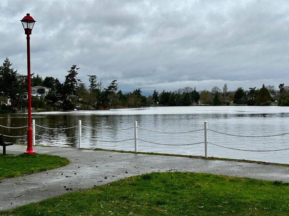 A photo of the Gorge waterway from Esquimalt Gorge Park in Victoria, B.C.