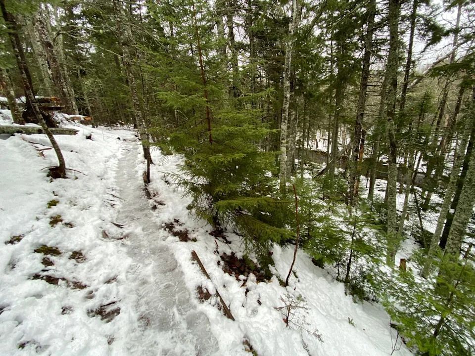 Hike along sections of the Winter River Trail in Suffolk, PEI on 08 Jan 2021 showing snowy trail through woodland.