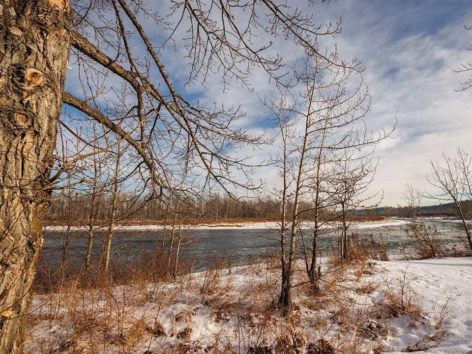 The Bow River just downstream of Calgary, Ab., on Tuesday, Dec. 23, 2025.