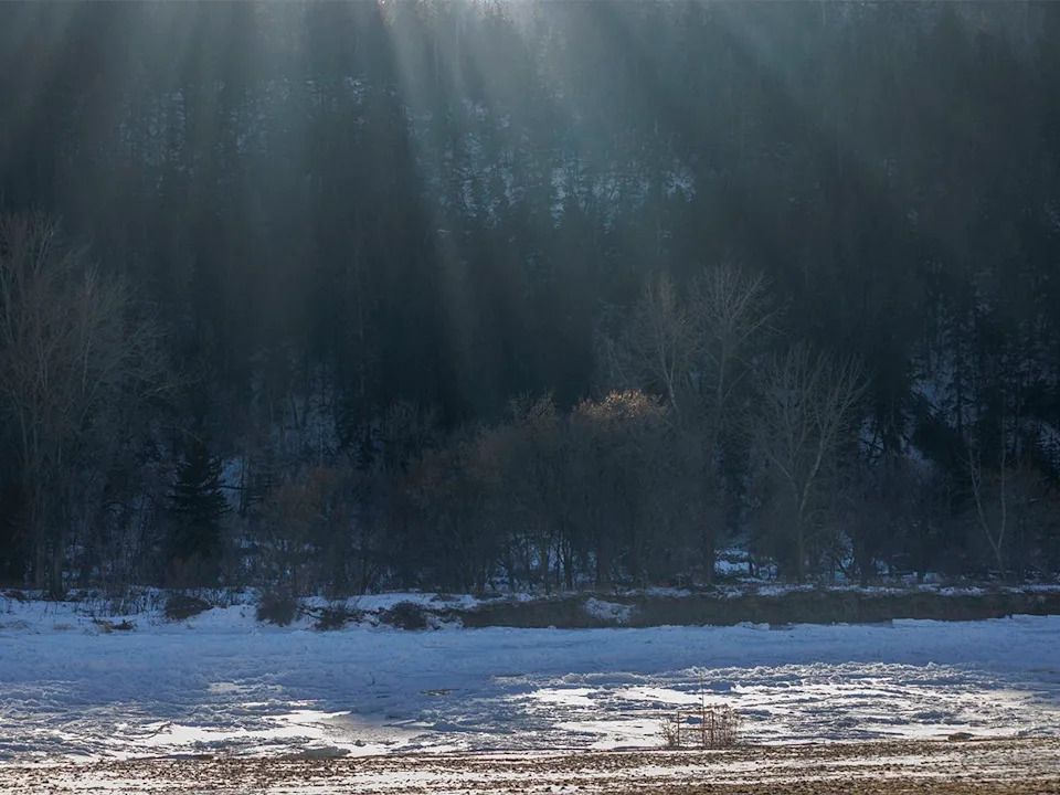 The sun sends shadowy streaks through the mist along the Bow River between Calgary and Carseland, Ab., on Tuesday, Dec. 23, 2025.