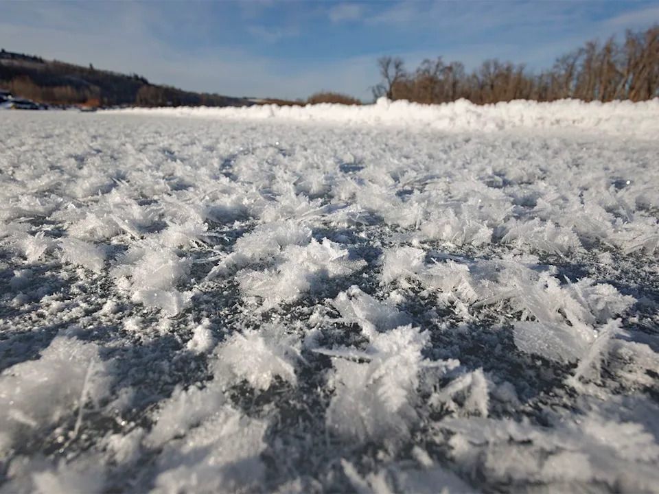 Feathery frost crystals along the Bow River just downstream of Calgary, Ab., on Tuesday, Dec. 23, 2025.