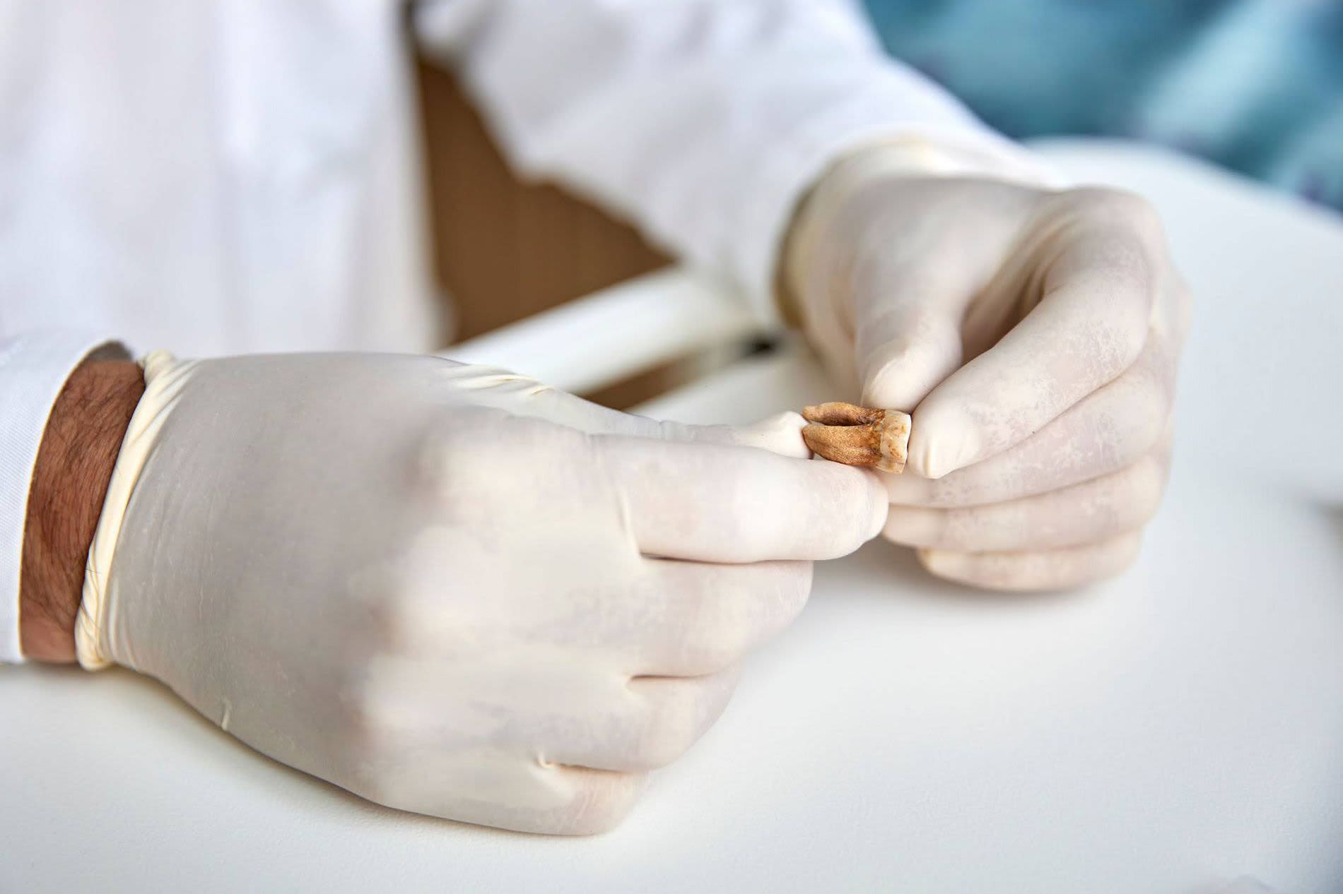 منها أصول البطاطا الغامضة.. إليك أبرز ألغاز تاريخية حلّها العلم في عام 2025