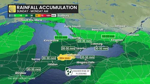 Southern Ontario forecast rainfall totals through Monday morning - Dec. 28, 2025