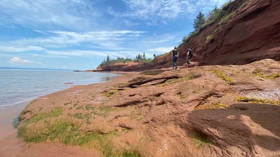 A 2020 file photo of Burntcoat Head Park in Noel, N.S.
