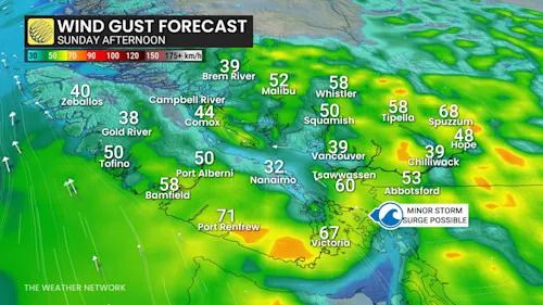 B.C. wind gust Sunday afternoon