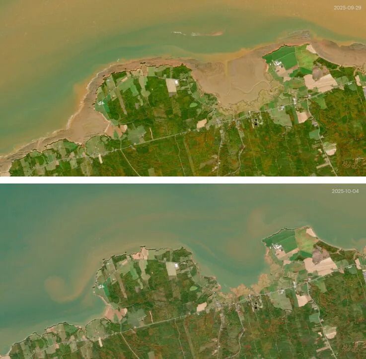These images from the Sentinel-2 satellite show Burntcoat Head at the head of the Bay of Fundy at low tide (above) and high tide (below). These images reveal the extent of the exposed tidal flats in reddish-brown colour during the fall of 2025.