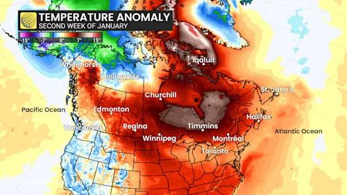 Temperature Anomaly Second Week of January 2026