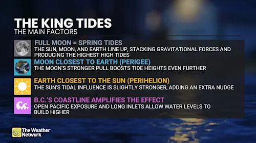 The king tides explainer