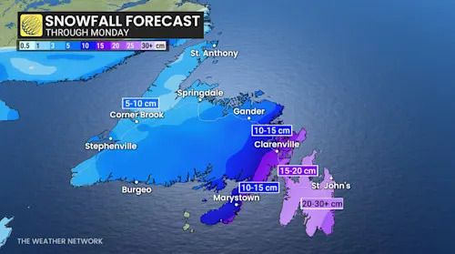 Newfoundland snowfall through Monday