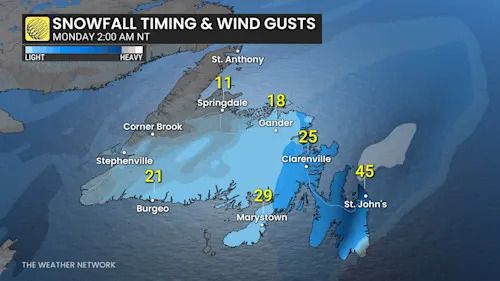 Newfoundland snow and winds Monday morning
