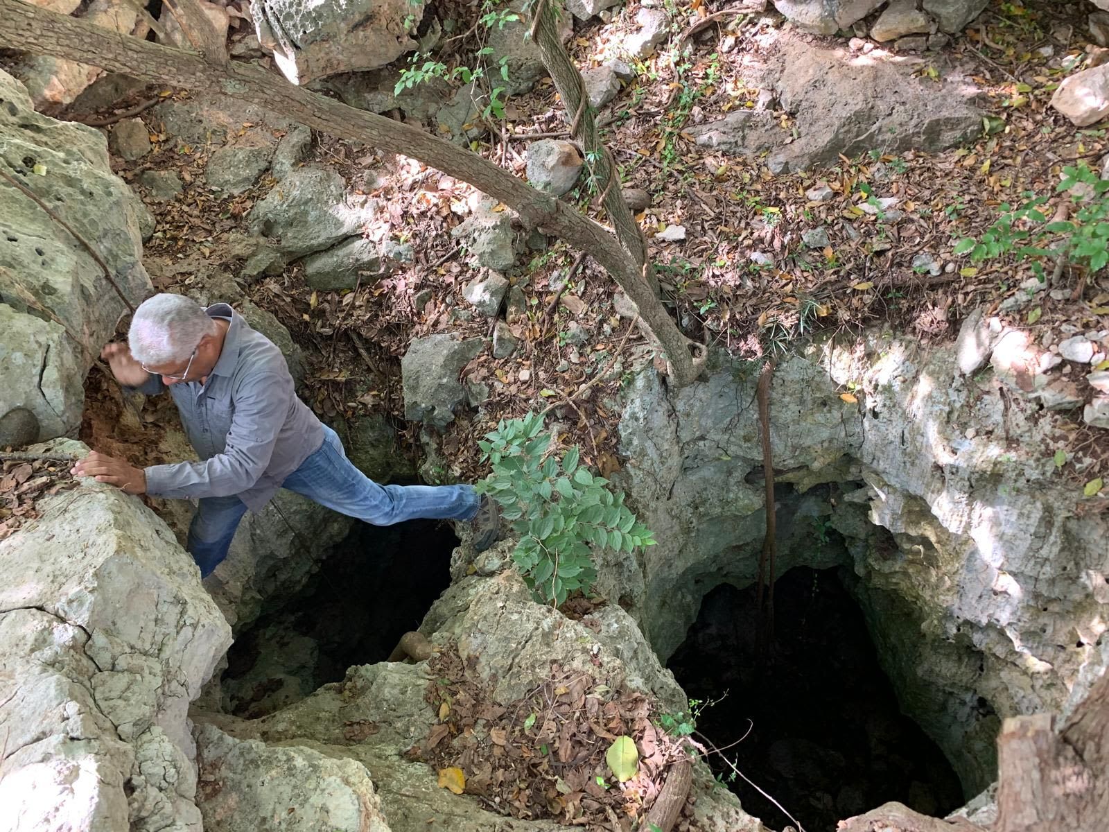 عش في مكان غير متوقع.. علماء يكتشفون كيف تكيف النحل مع البيئة في الماضي السحيق