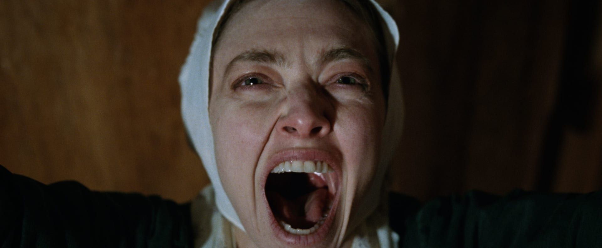 يمزج الفيلم بين الموسيقى والملحمة التاريخية، ويروي حياة آن لي ويستعرض رحلة الشاكريين من المملكة المتحدة إلى الولايات المتحدة في القرن الثامن عشر.