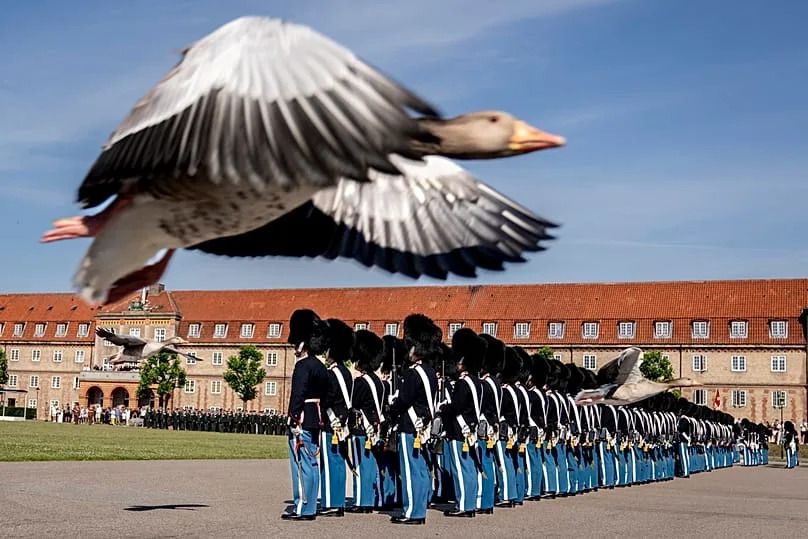 A goose flies by as Denmark's King Frederik X presents the King's Watch during a parade at the Royal Life Guards at the Life Guard Barracks in Copenhagen, 27 June 2024