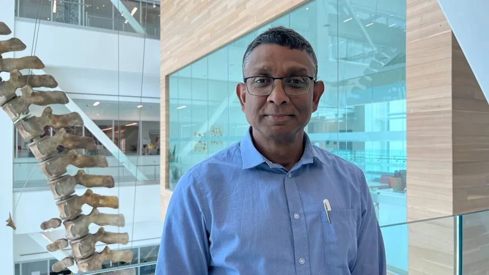 Atanu Sarkar, one of the researchers on the study, says mosquito-borne infections in the province will likely go up in the future.