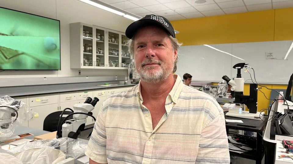 Tom Chapman, a professor of biology at Memorial University and one of the researchers involved in the study, says more research is needed to identify high-risk areas for mosquito-borne infections.