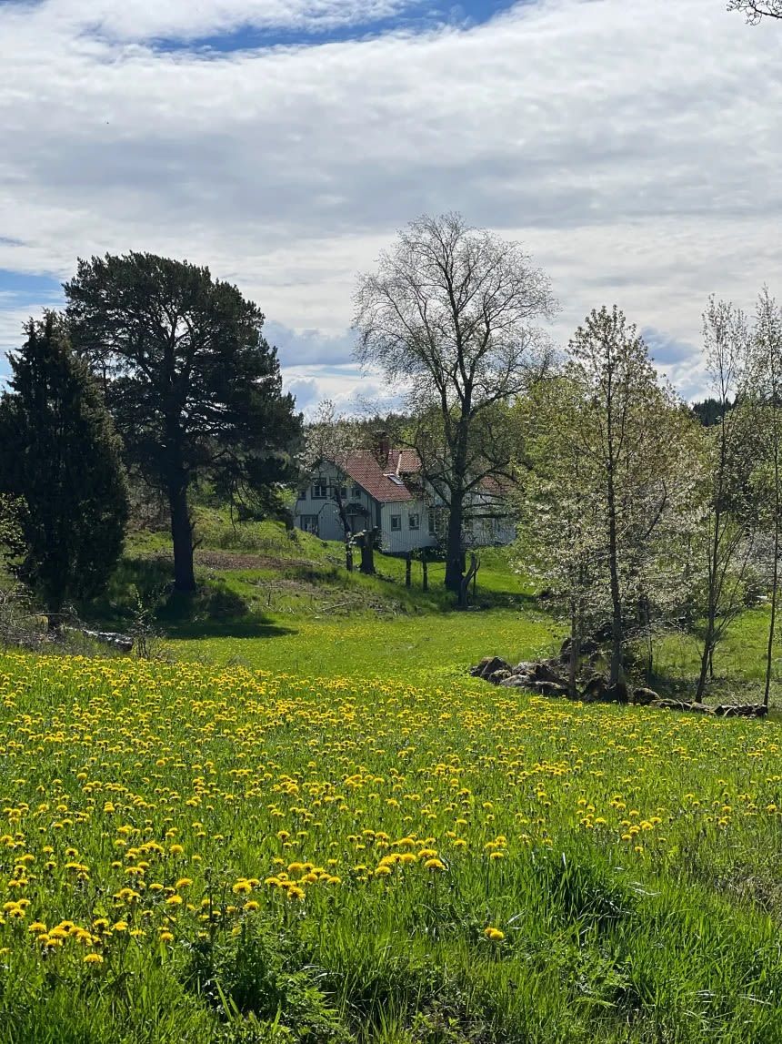 صدمة ثقافية.. أمريكية تُفاجأ بالهدوء الشديد عند انتقالها إلى السويد