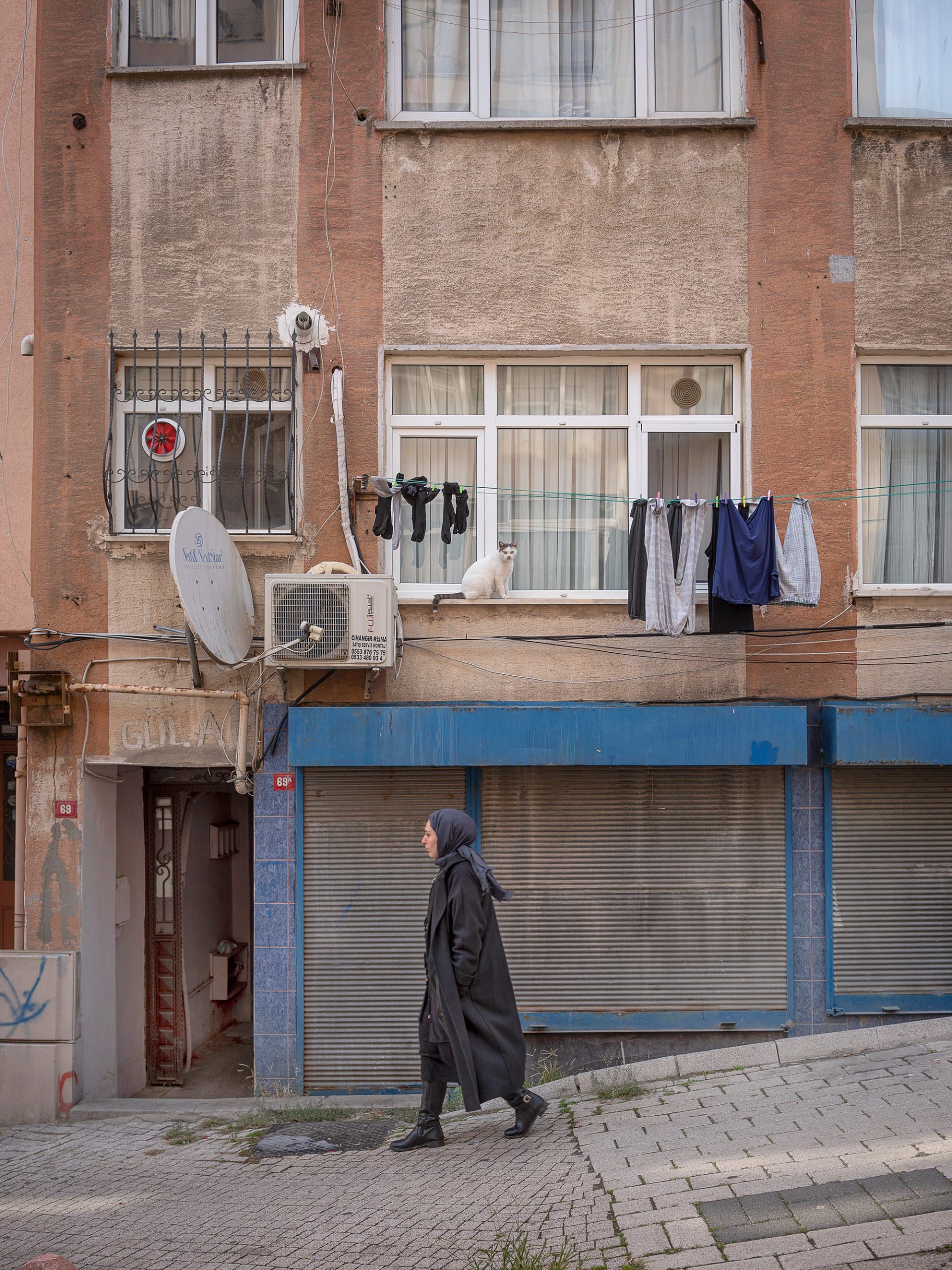 القطط تهيمن على مدينة إسطنبول ويتضح ذلك من هذه الصور الساحرة والظريفة