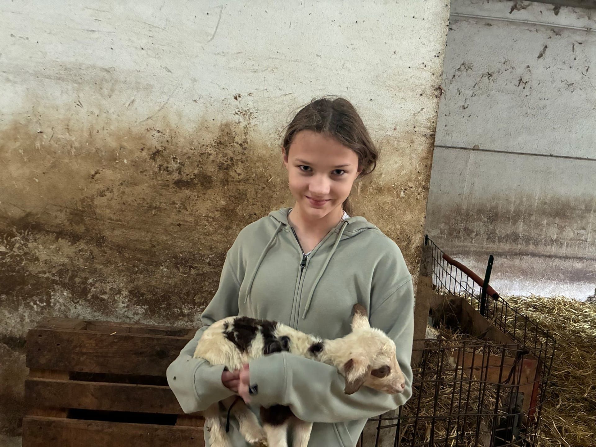 أمريكي من أصل إيطالي