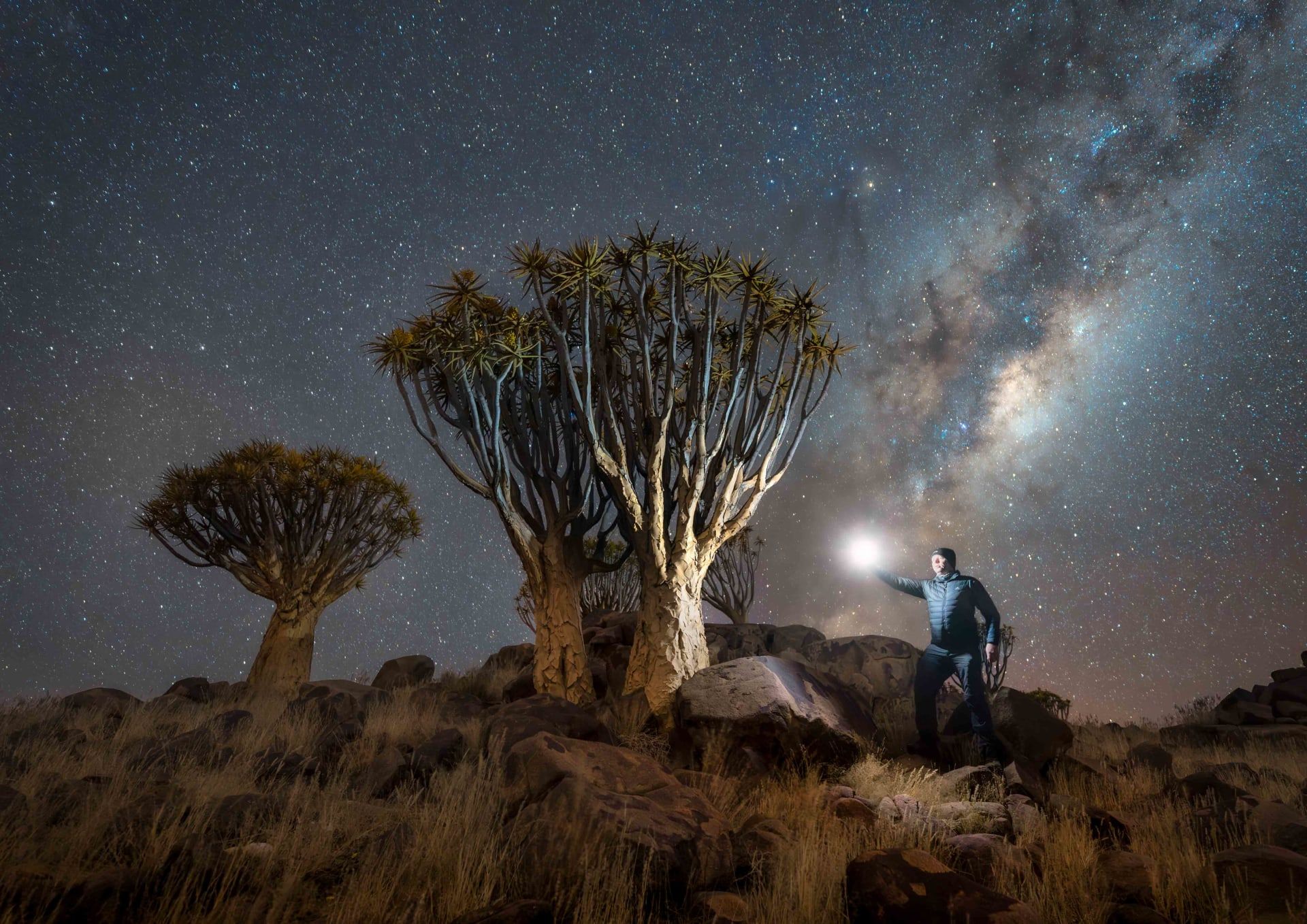 التصوير الفلكي