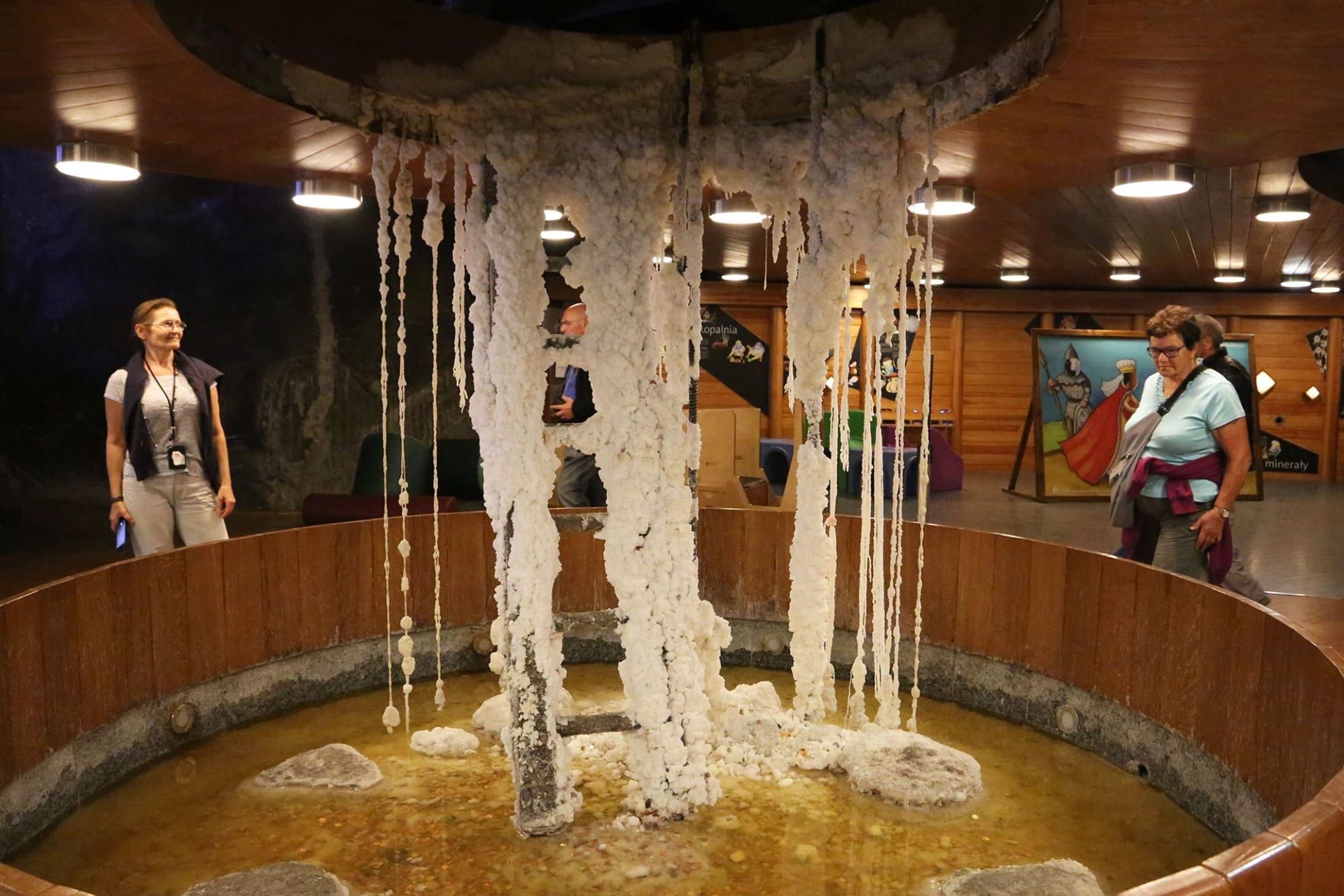 منجم فياليتشكا الملحي