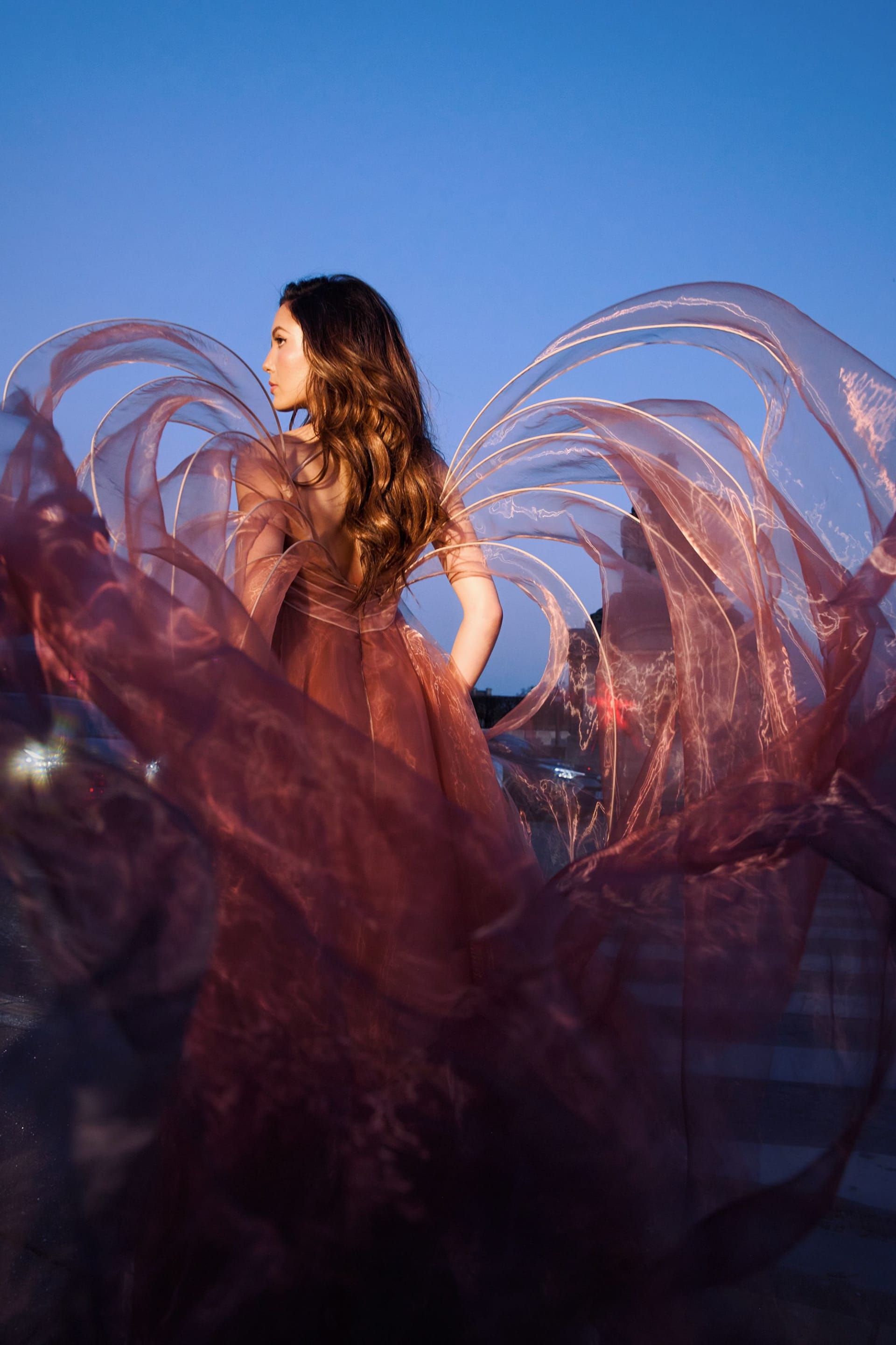 الفستان ذو تدرجات اللون الخوخي إلى البرقوقي من توقيع المصممة الهولندية إيريس فان هيربن.