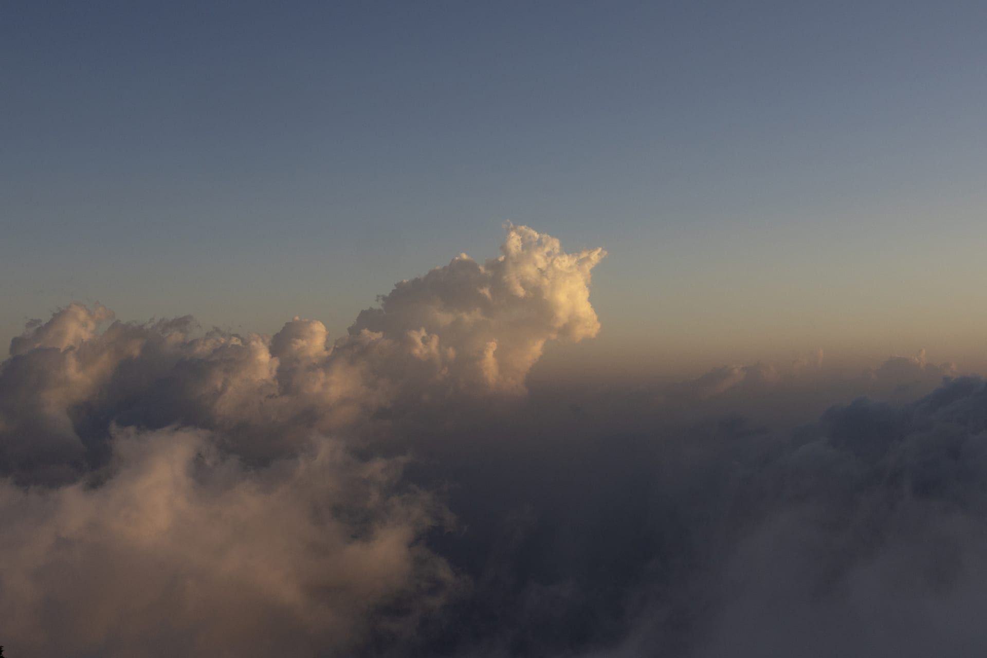 هذه الصور توثق العلاقة العميقة بين الإنسان وأرضه في عسير