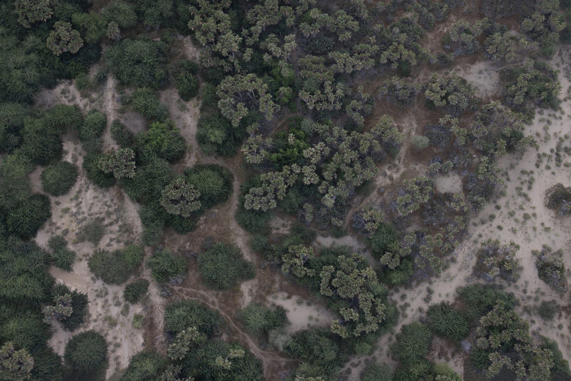 هذه الصور توثق العلاقة العميقة بين الإنسان وأرضه في عسير