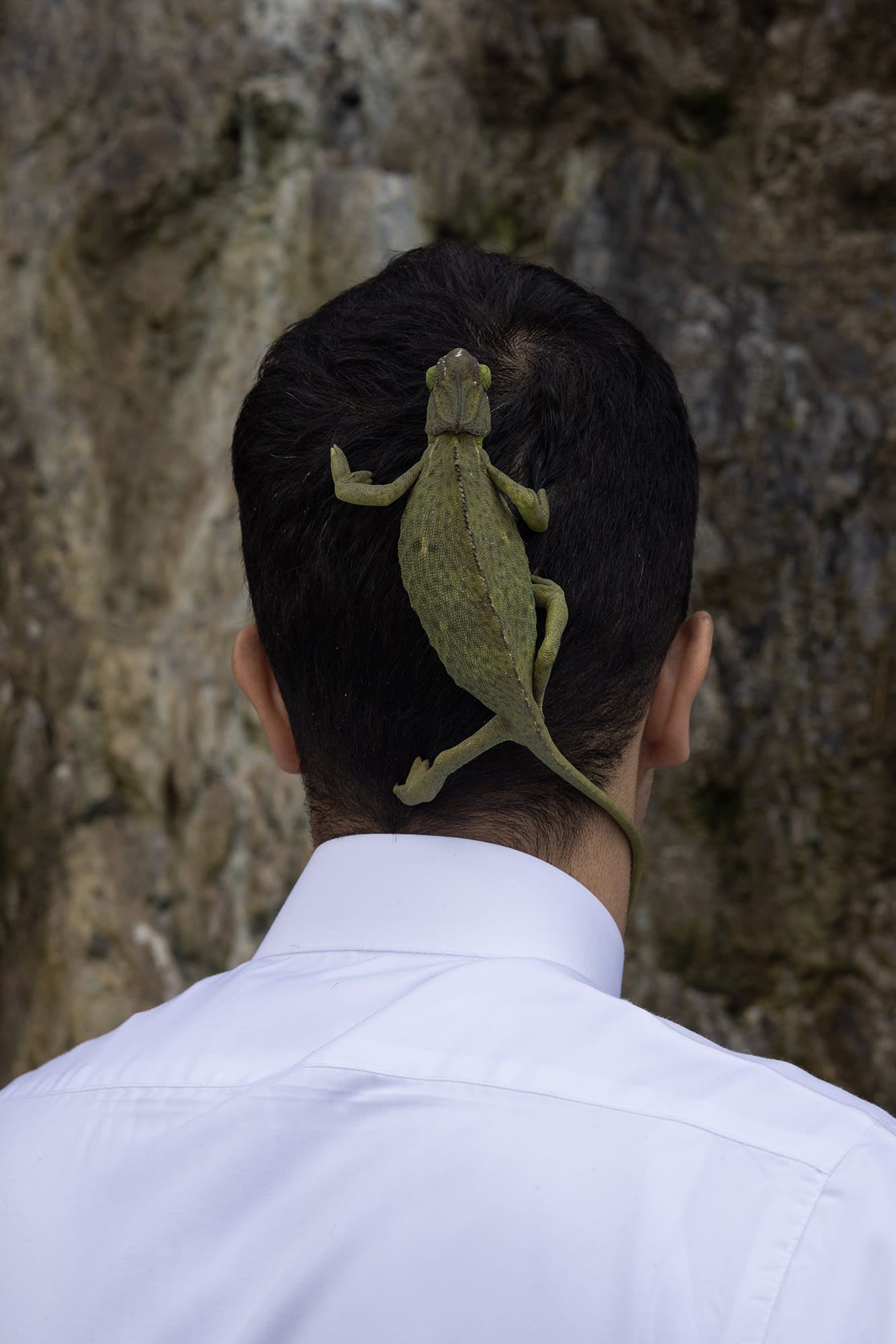 هذه الصور توثق العلاقة العميقة بين الإنسان وأرضه في عسير